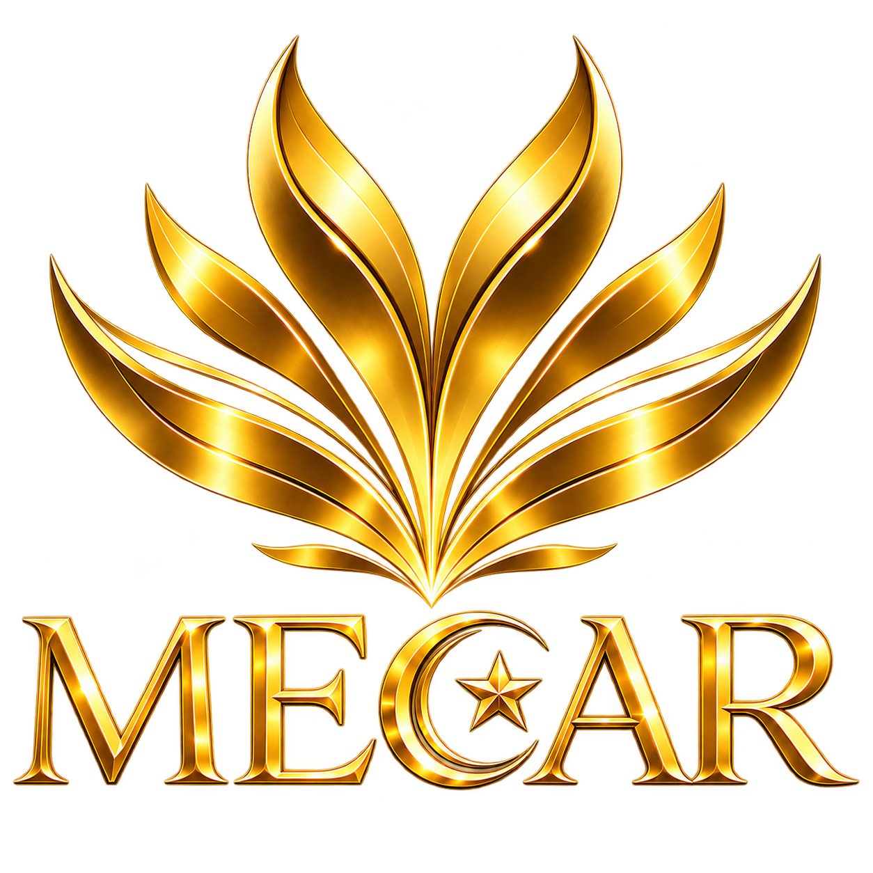 MECAR